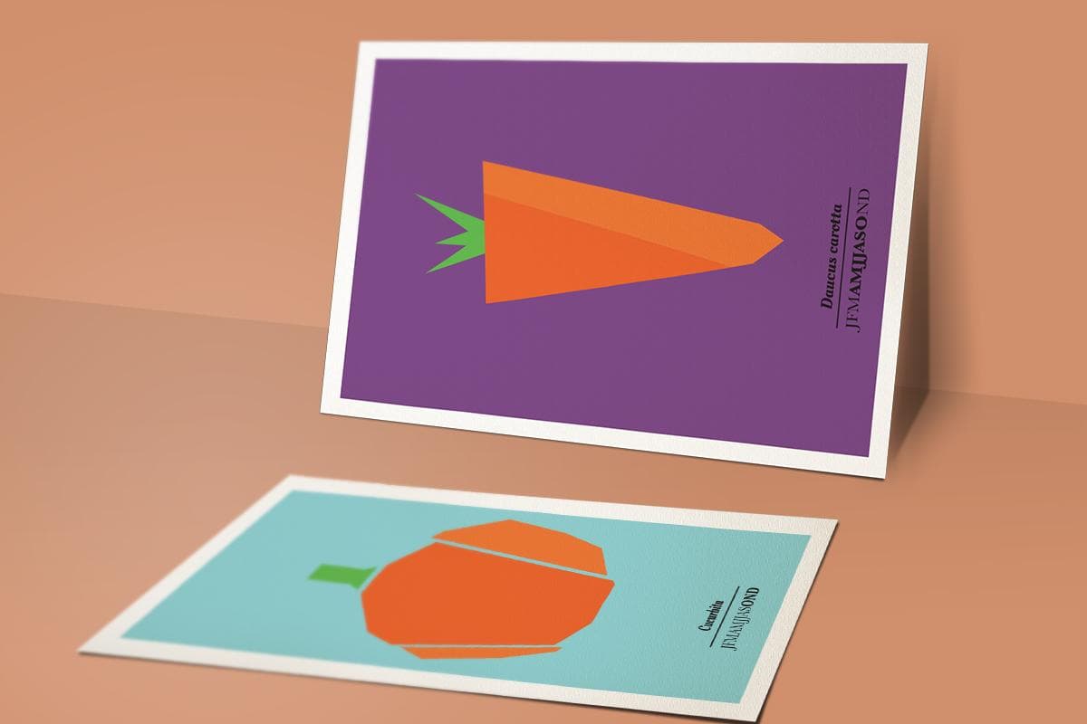 Illustrations vectorielles légumes, la carotte et le potiron