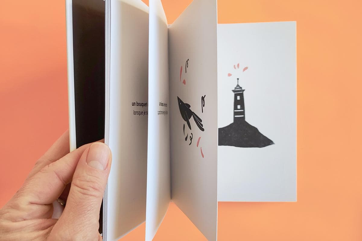 Livre sur les émotions